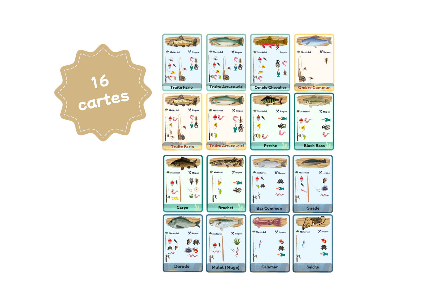 recharge de 16 cartes d’identification