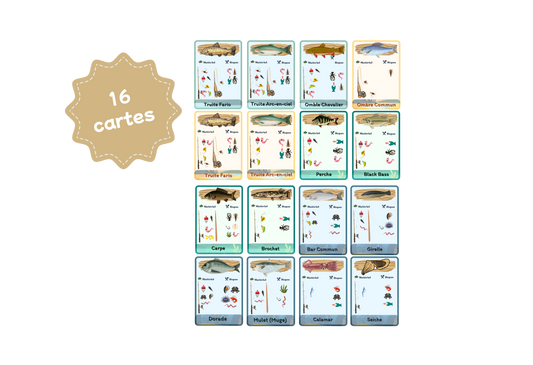 recharge de 16 cartes d’identification
